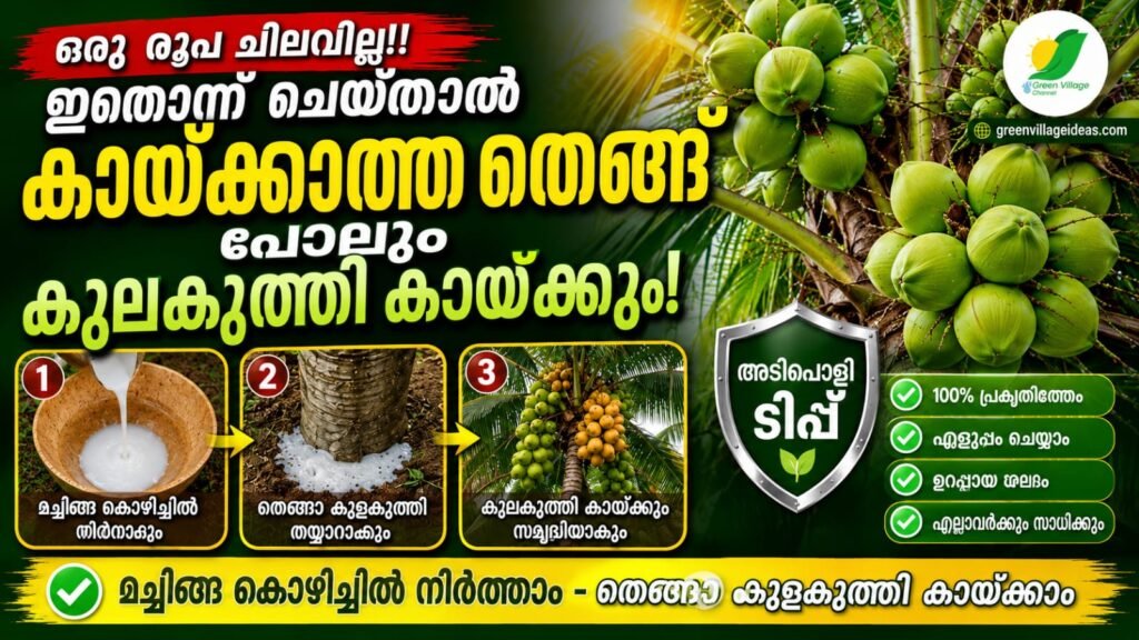 img 20260527 wa0077