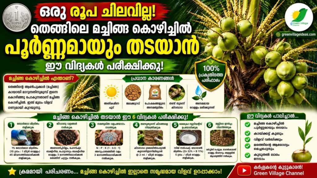 img 20260527 wa0085