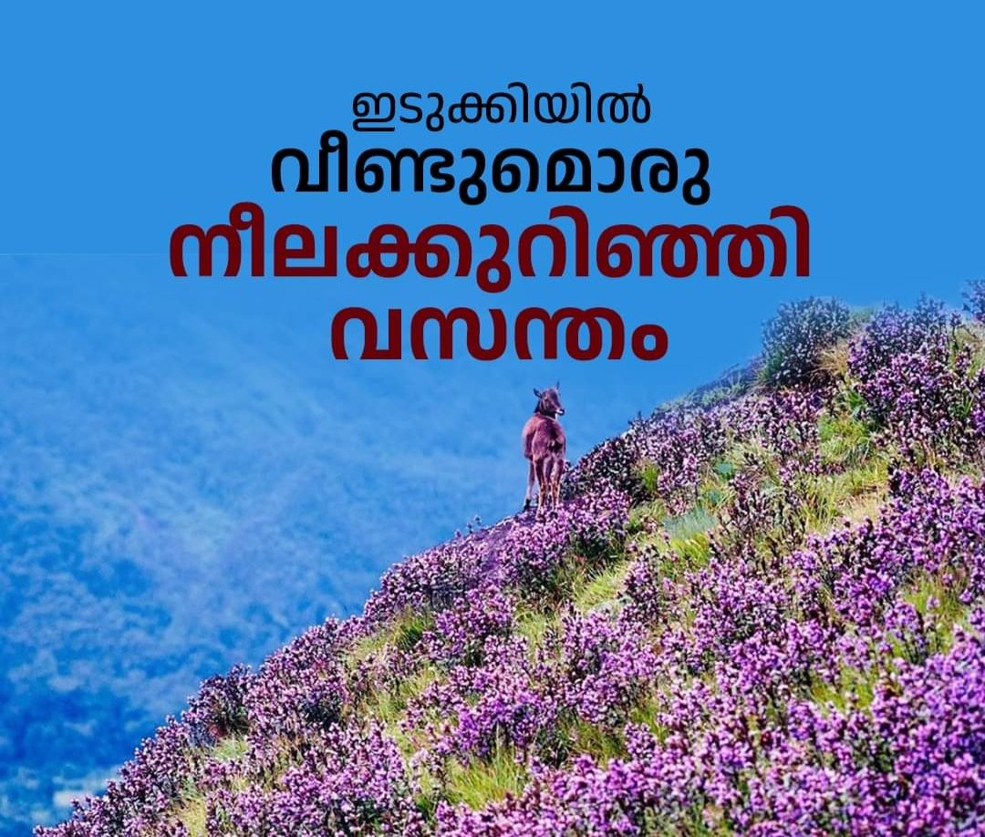 IMG 20240817 065827