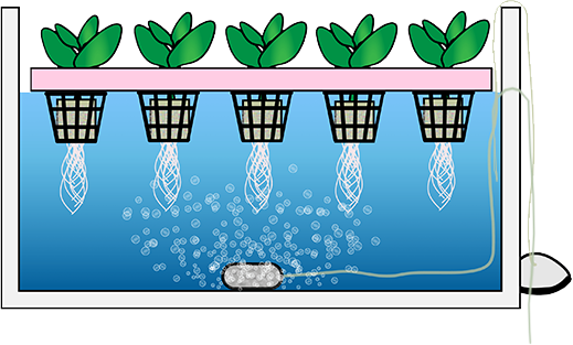 DWC System Setup