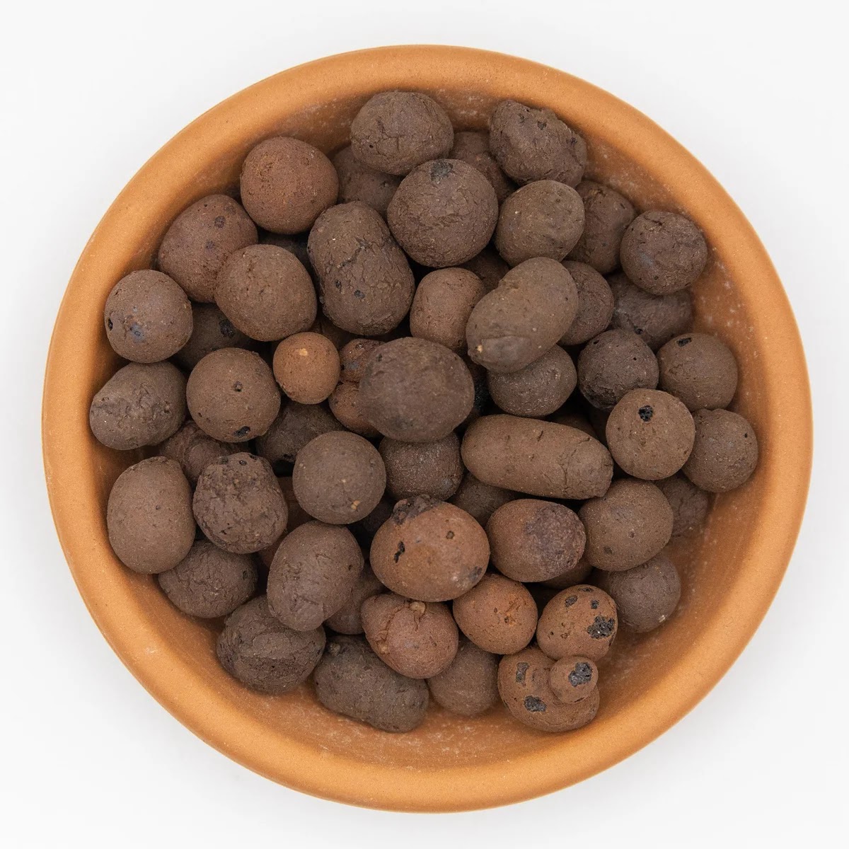 Clay Pebbles (LECA)