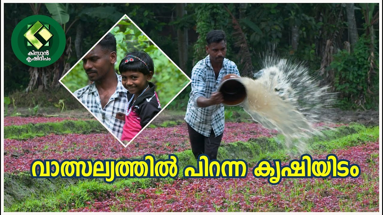 kissan krishideepam episode 1135 a farm born of affection