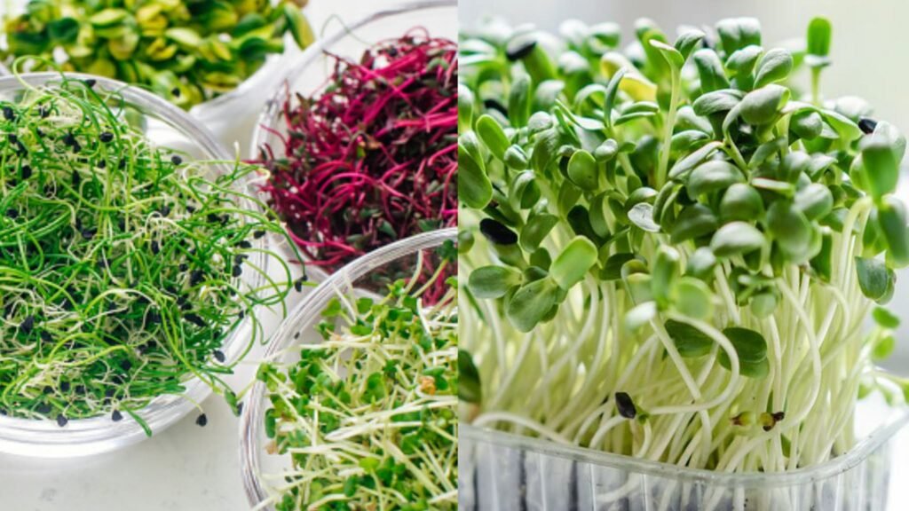 microgreens