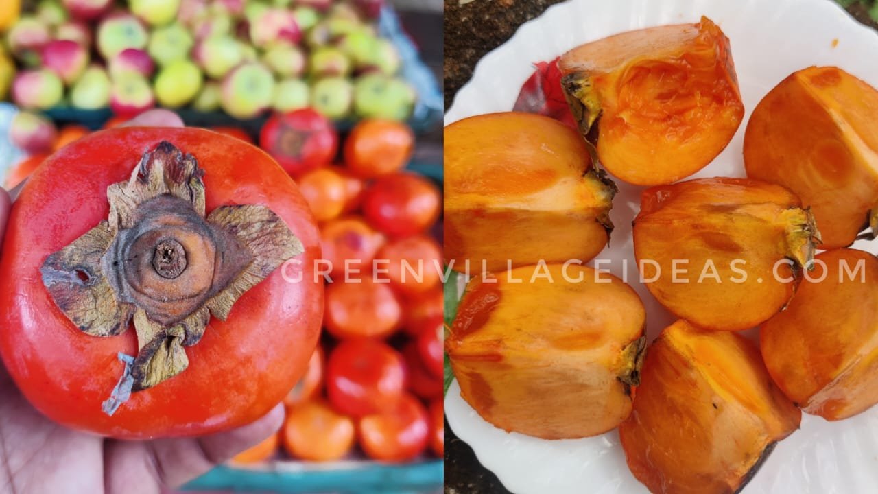 Persimmon20fruit