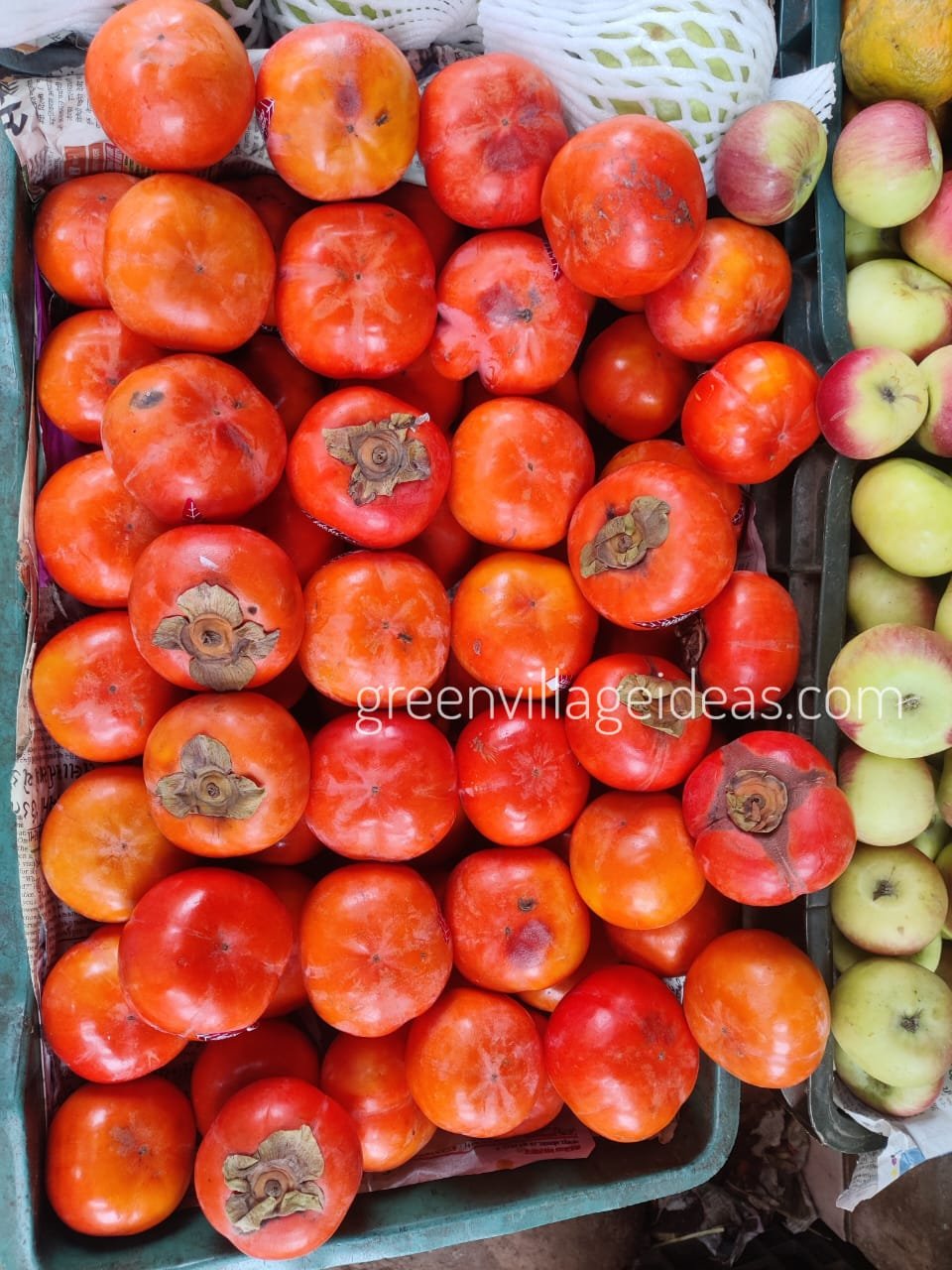 Persimmon20fruit202
