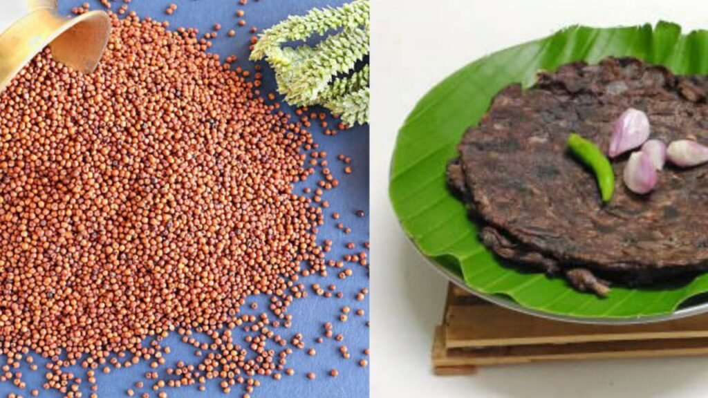 ragi