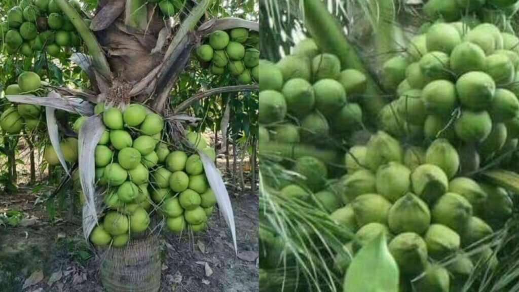 WhatsApp20Image202022 04 2420at206.48.5120AM 1 1024x576