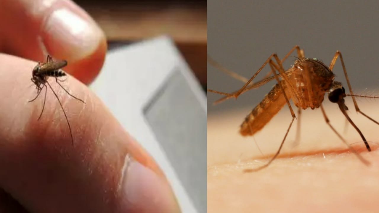 WhatsApp20Image202022 05 0520at204.25.4720PM
