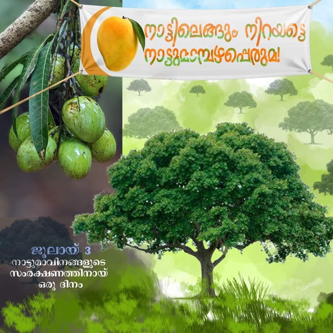 WhatsApp20Image202022 06 0320at2012.50.1220AM