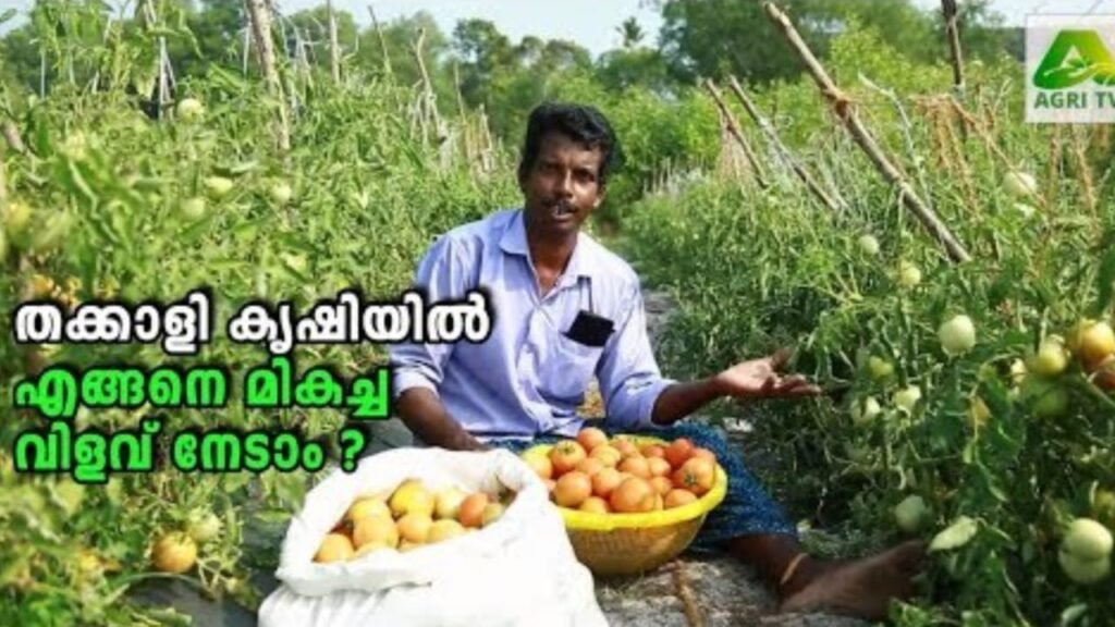 WhatsApp20Image202022 09 0220at204.21.4920PM 1024x576