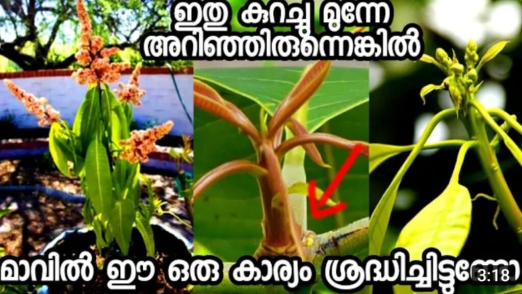 WhatsApp20Image202022 09 0420at209.34.5720PM 1024x576