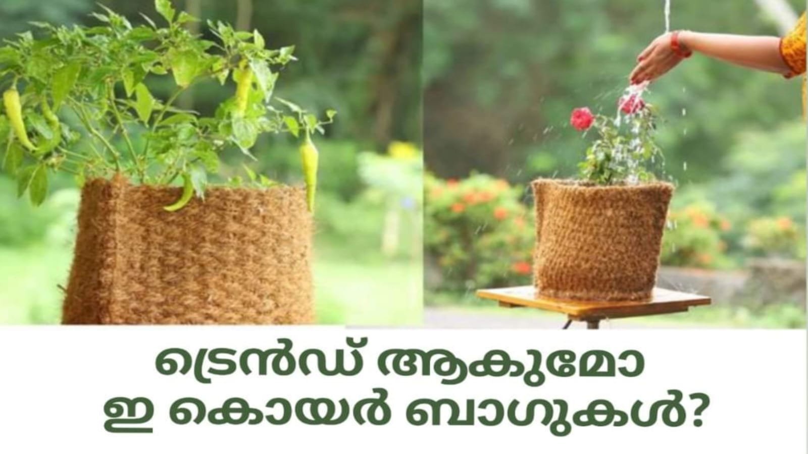 WhatsApp20Image202022 09 2220at2010.55.4420AM