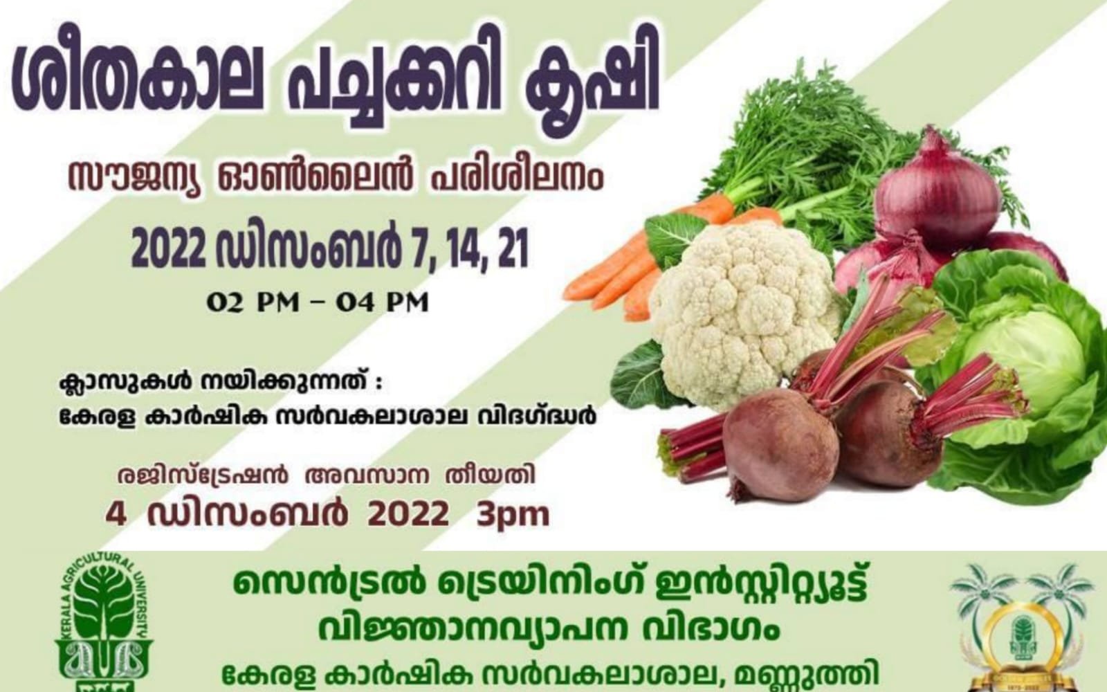 WhatsApp20Image202022 11 2820at208.09.0920PM