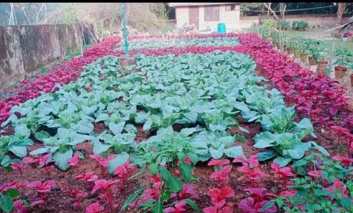 WhatsApp20Image202022 12 0420at203.19.2720PM