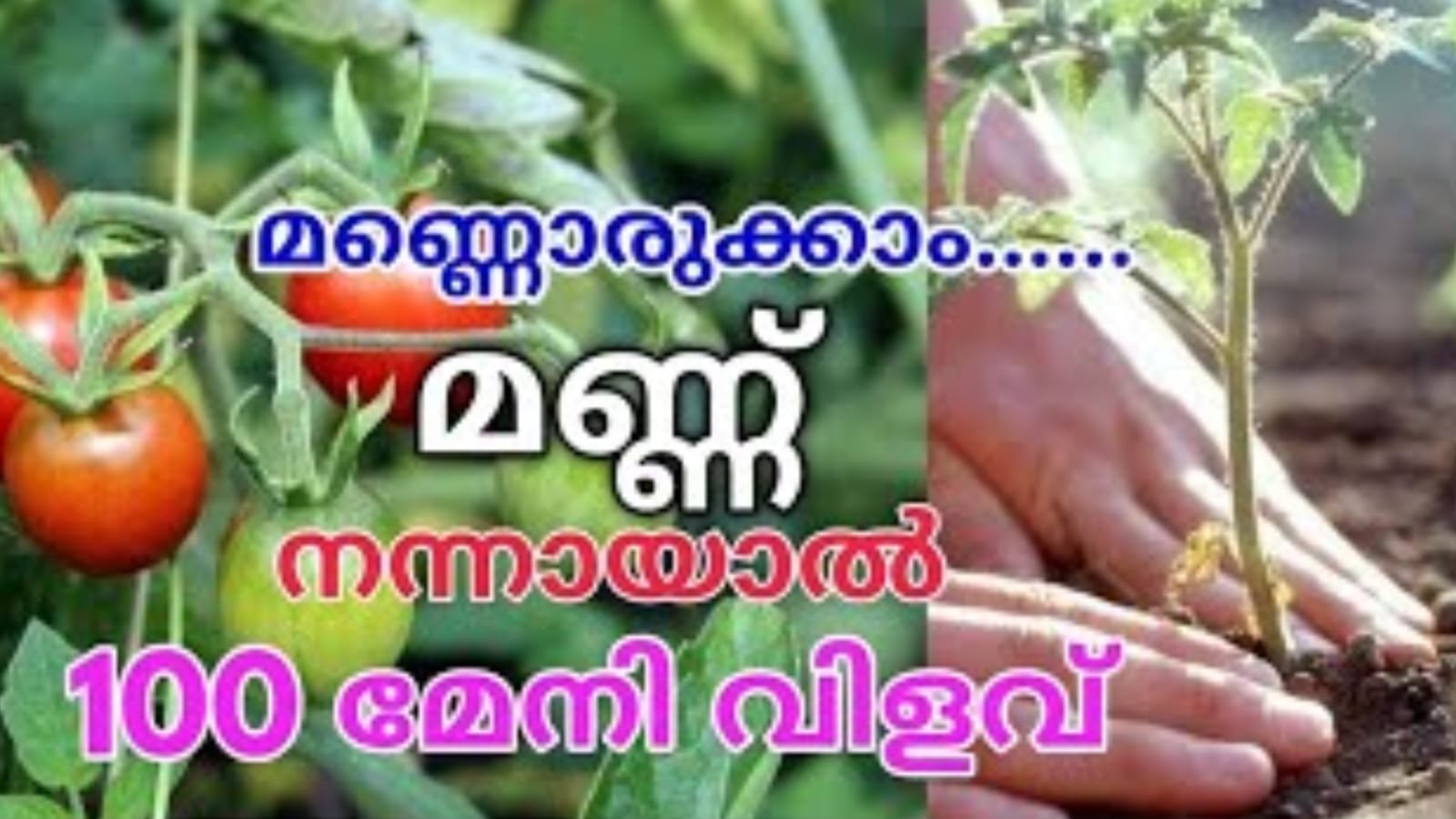 WhatsApp20Image202022 12 2020at206.39.1620PM