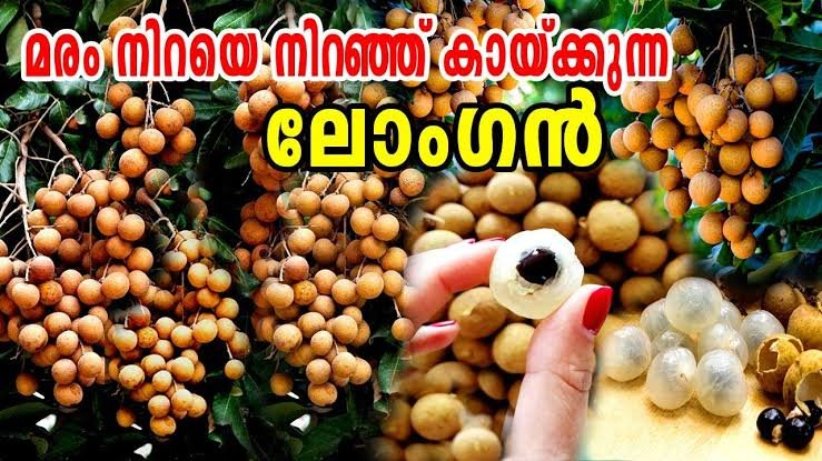 WhatsApp20Image202023 02 2120at202.28.3120PM