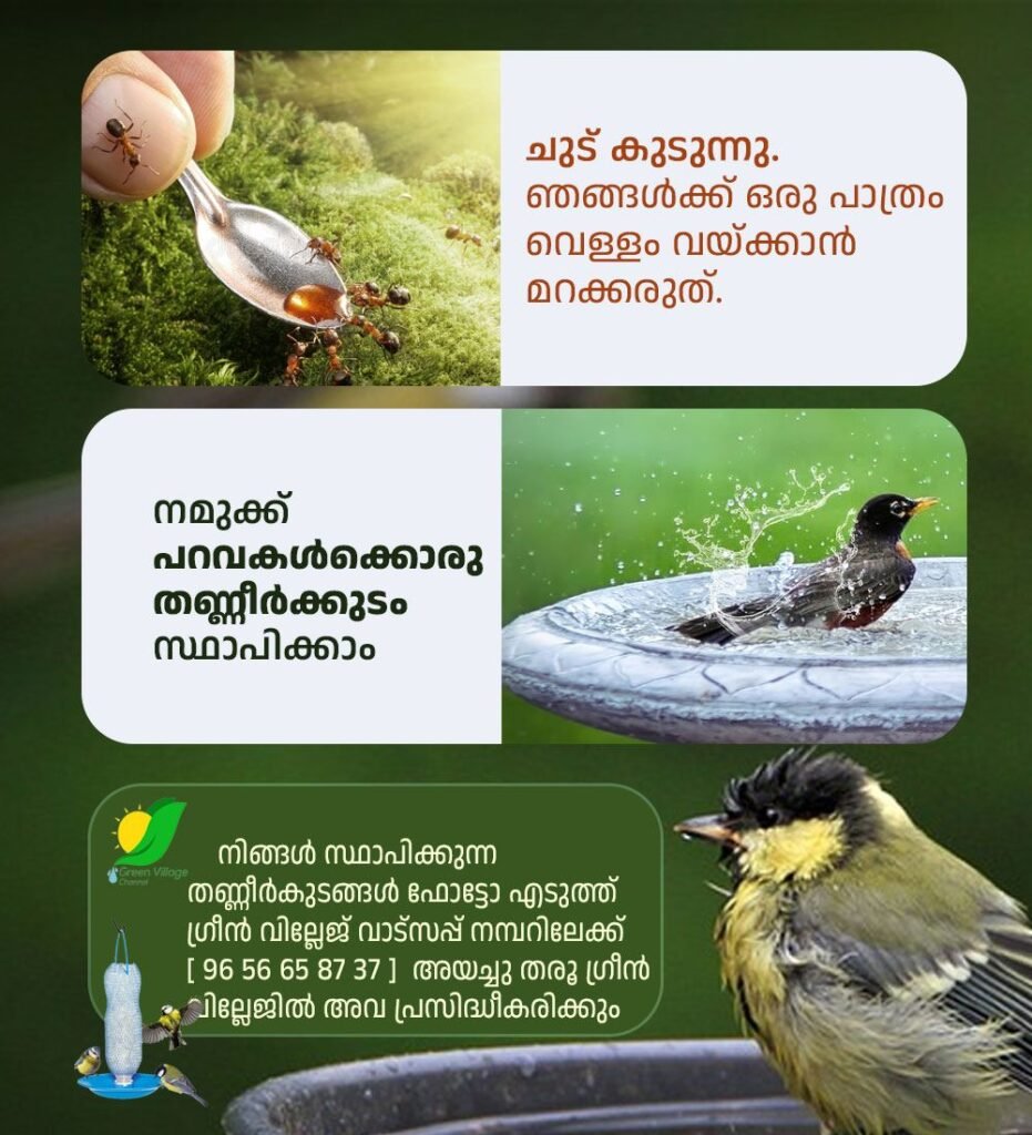 WhatsApp20Image202023 03 1420at2011.18.55 931x1024