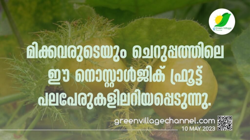 WhatsApp20Image202023 05 1020at2022.22.35 1024x576