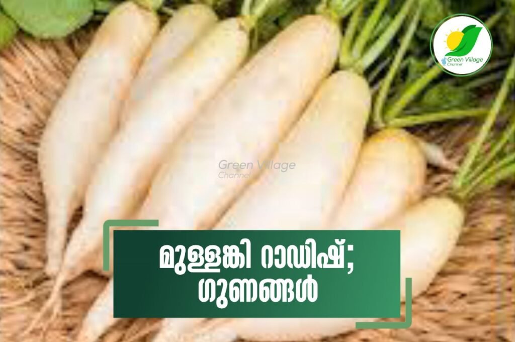 WhatsApp20Image202023 05 1120at2014.20.16 1024x680