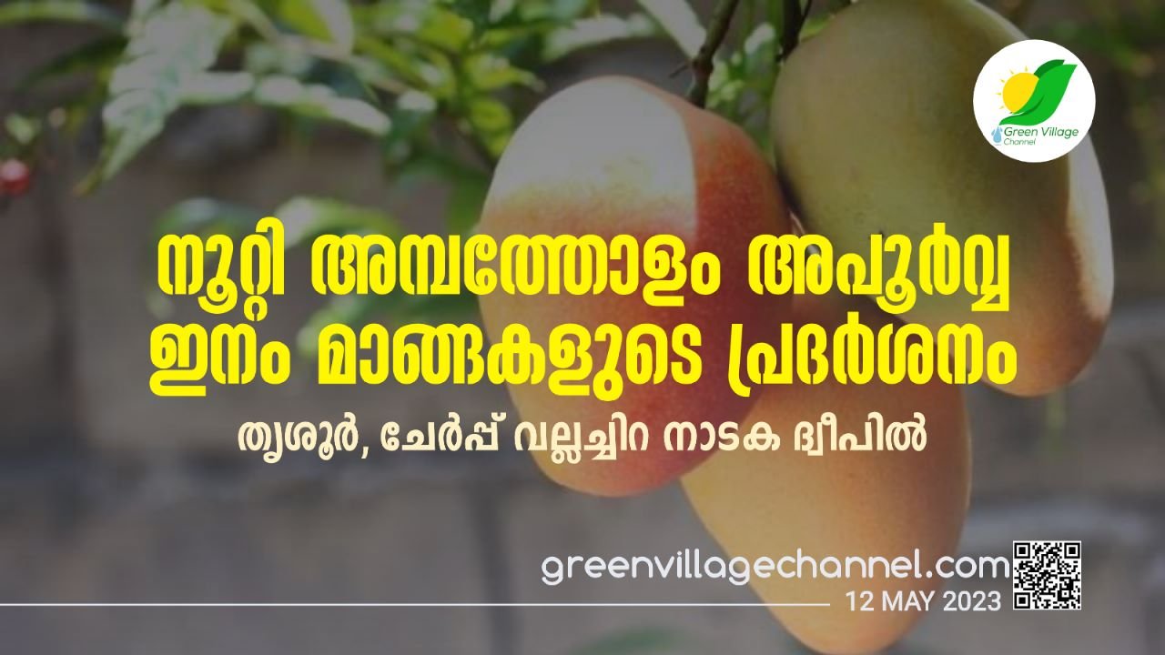 WhatsApp20Image202023 05 1220at2010.56.29