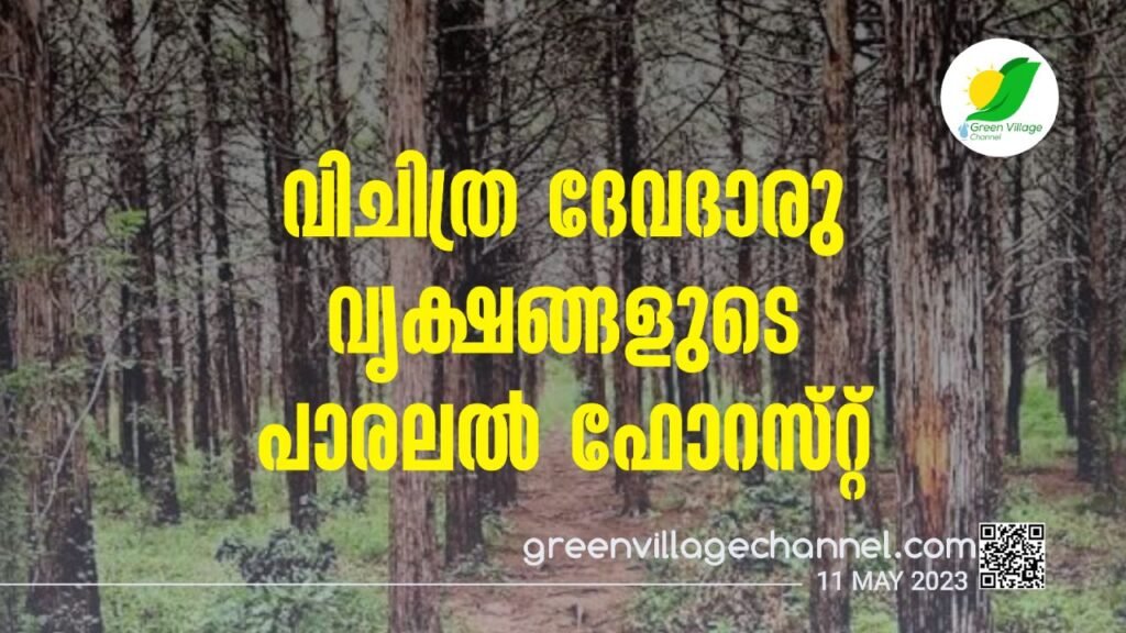WhatsApp20Image202023 05 1220at2013.19.26 1024x576