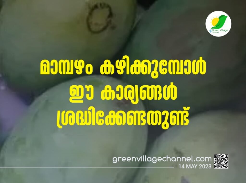 WhatsApp20Image202023 05 1420at2015.28.50 1024x763