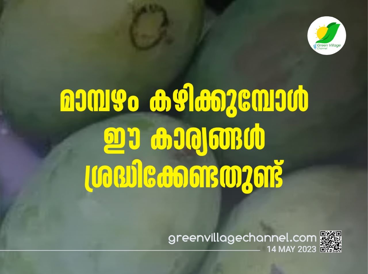 WhatsApp20Image202023 05 1420at2015.28.50