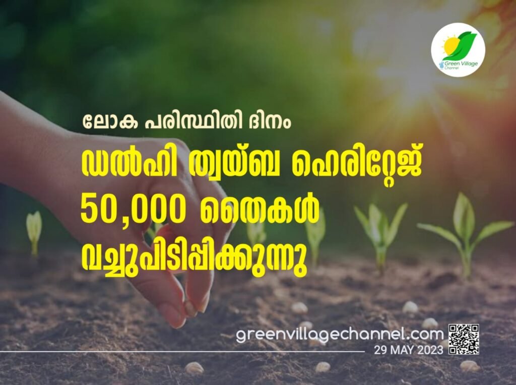 WhatsApp20Image202023 05 2920at2010.30.27 1024x764