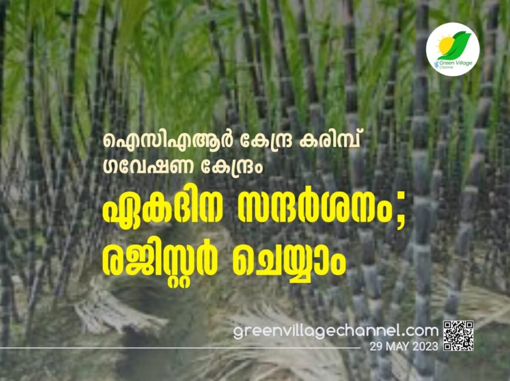 WhatsApp20Image202023 05 2920at2013.59.59 1024x764
