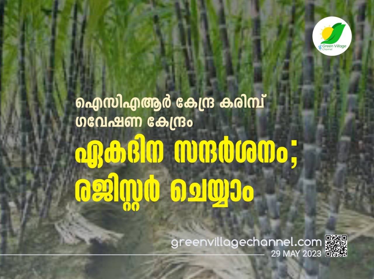 WhatsApp20Image202023 05 2920at2013.59.59