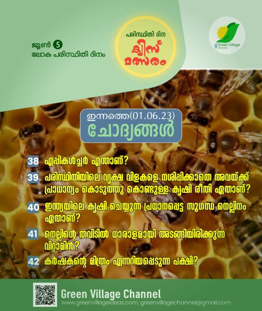 WhatsApp20Image202023 06 0120at2007.29.03 864x1024