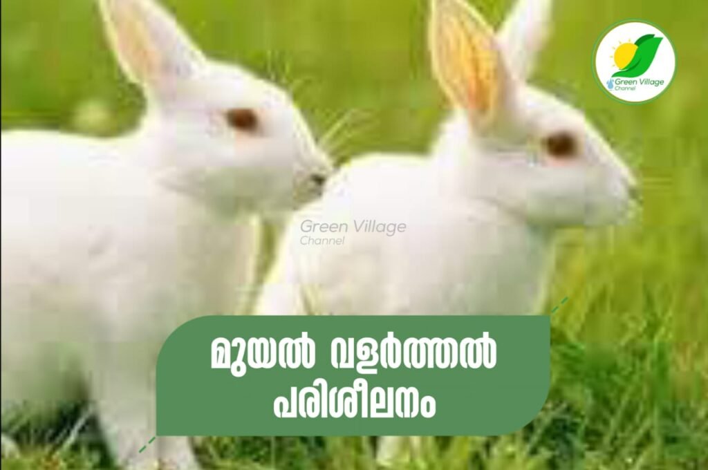 WhatsApp20Image202023 06 0120at2017.38.06 1024x680