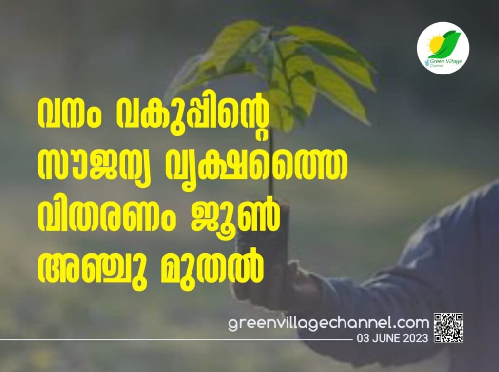 വനം വകുപ്പിന്റെ സൗജന്യ വൃക്ഷത്തൈ വിതരണം ജൂൺ അഞ്ചു മുതൽ WhatsApp20Image202023 06 0320at2020.28.36 1024x764
