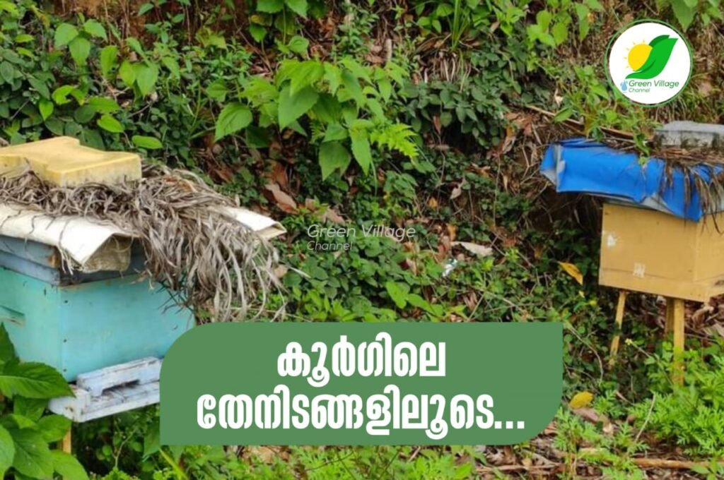 WhatsApp20Image202023 06 0320at2020.40.56 1024x680