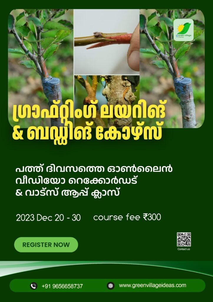 WhatsApp20Image202023 12 1020at207.09.2020PM 1 723x1024