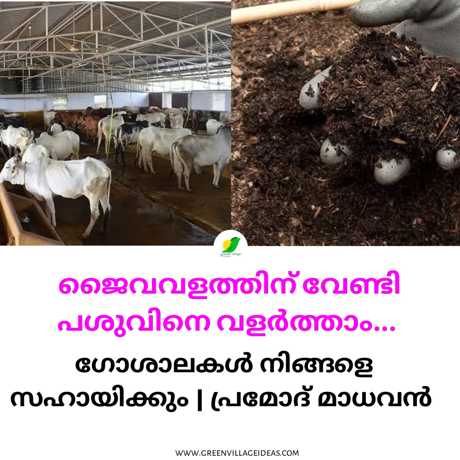 WhatsApp20Image202025 08 0420at2011.19.3620PM