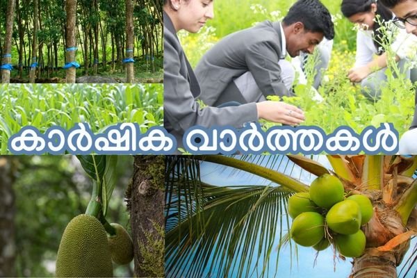 Agriculture 1