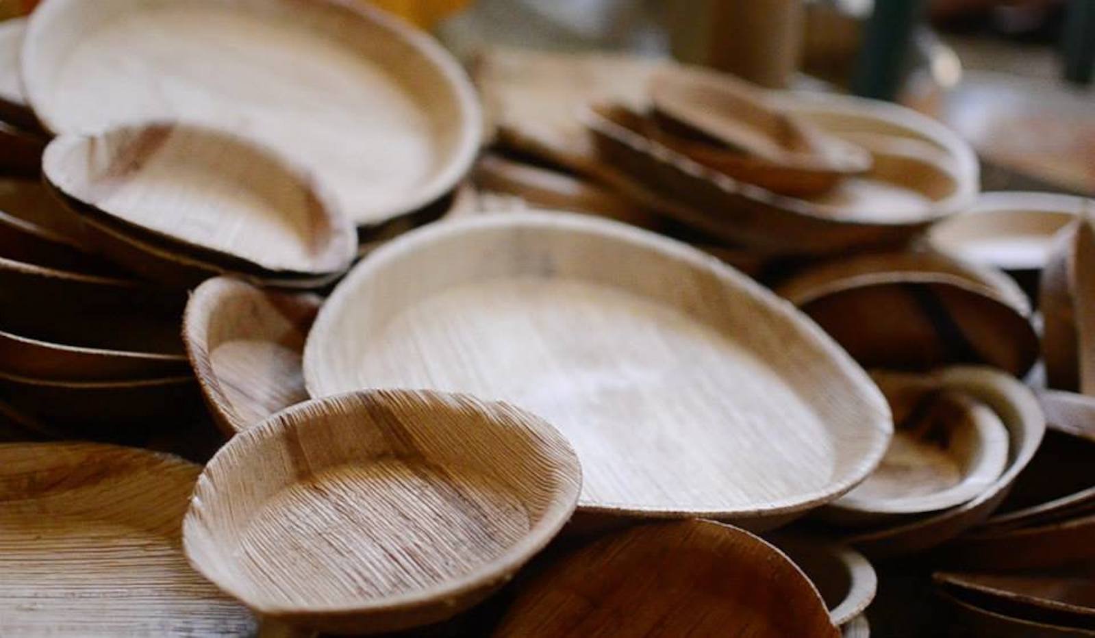 Arecanut Plates 1