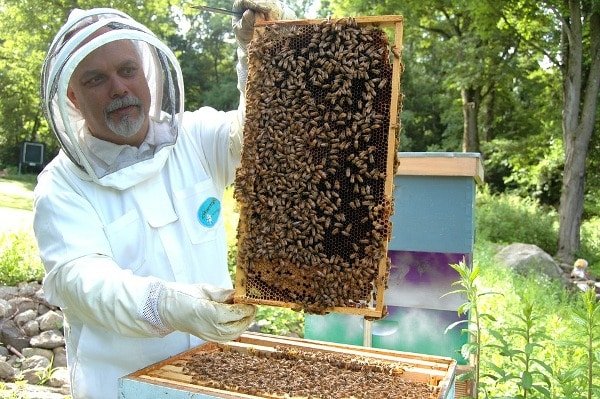 Beekeeping Training