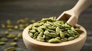 Cardamom Cover 2 Sixteen Nine 1