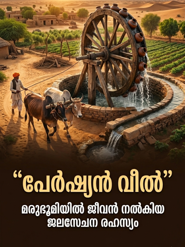 രാജസ്ഥാനിലെ മരുഭൂമിയിൽ ജീവൻ നൽകിയ ‘പേർഷ്യൻ വീൽ’; ജലസേചനത്തിന്റെ അതിപുരാതന സാങ്കേതികവിദ്യ!