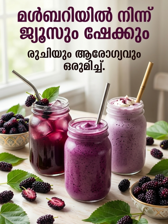 മൾബറി കൃഷി: നടീൽ മുതൽ വിപണനം വരെ അറിഞ്ഞിരിക്കേണ്ട കാര്യങ്ങൾ Cropped 1779616045333 1