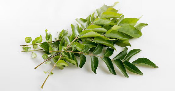 Curry Leaves202