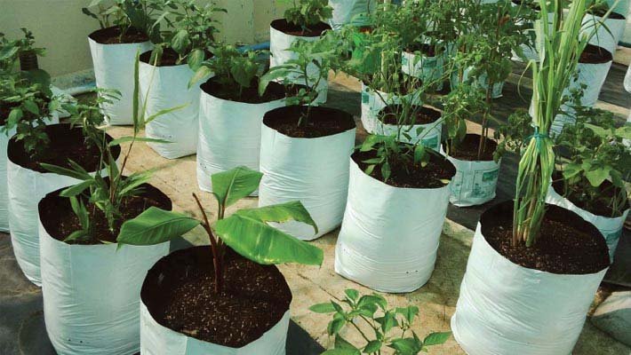 Grow Bag