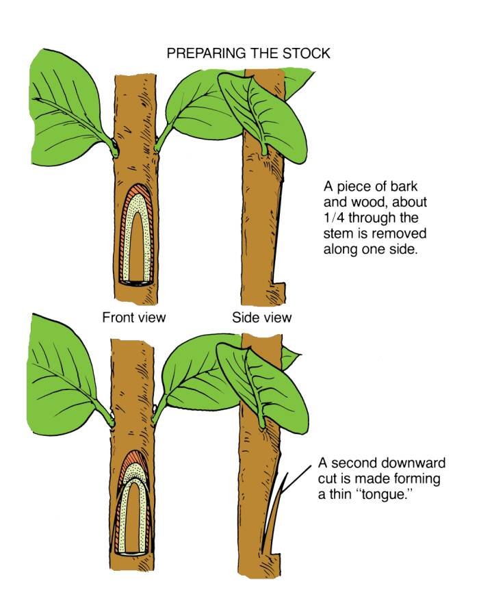 Image3