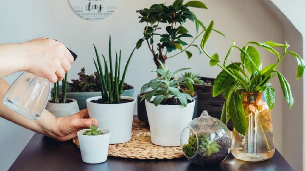 Indoor20garden20pots 1024x576