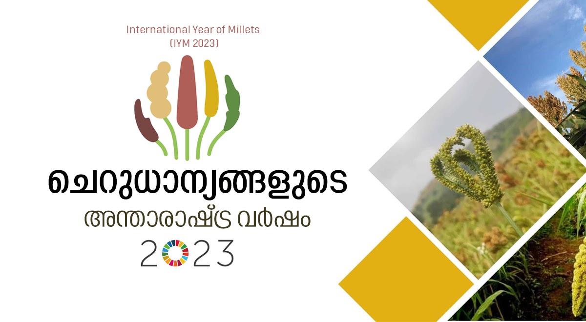 Iym 2023