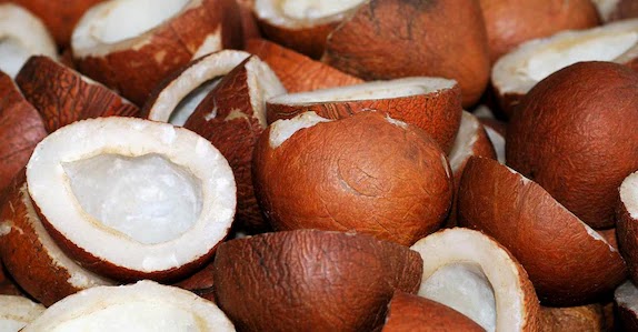 Kopra