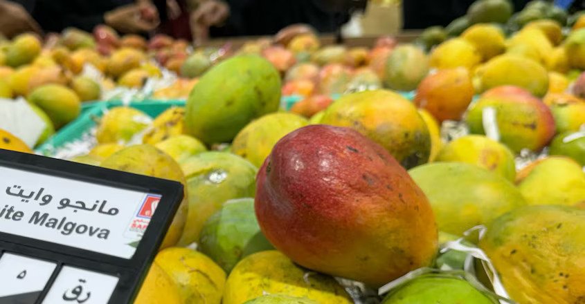 Mango 2