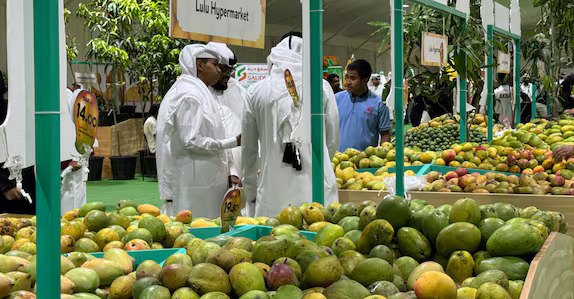 Mango201